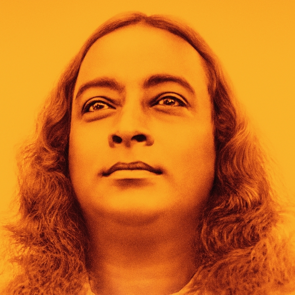 download movie awake the life of yogananda download movie awake the life of yogananda