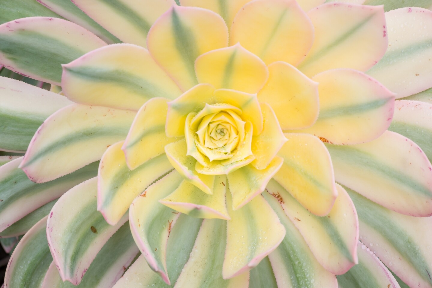 Nature 2