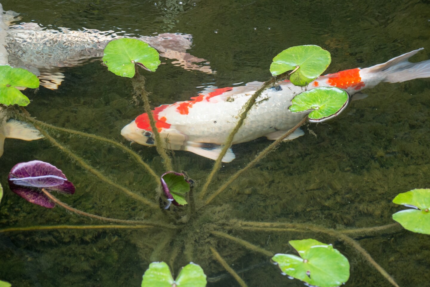 Nature 3